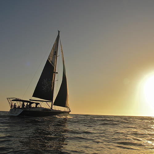 Experiences - Sailing in Ensenada