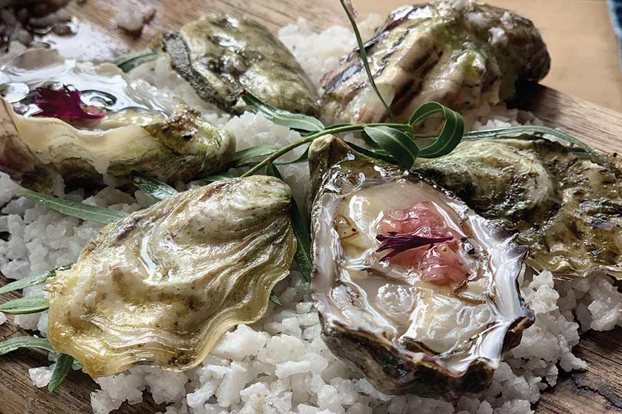 deckmans valle de guadalupe oysters m 900x600