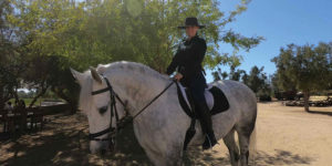 Horse Back Ride Valle de Guadalupe