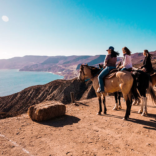 Experiences - Horseback ride