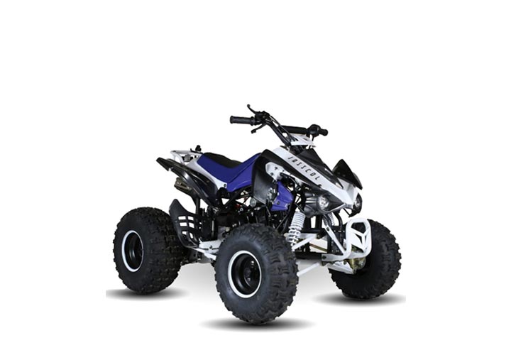 Experience Off Road 4 wheeler