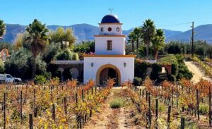 wine tours adobe guadalupe cellar